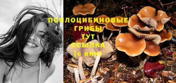 кокс Абаза