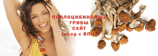 хмурый Слюдянка