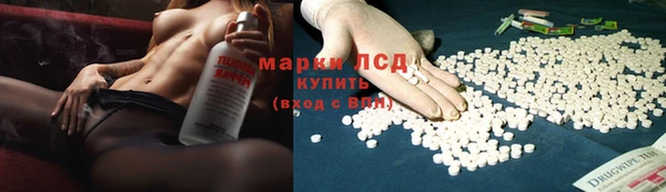 индика Алексин
