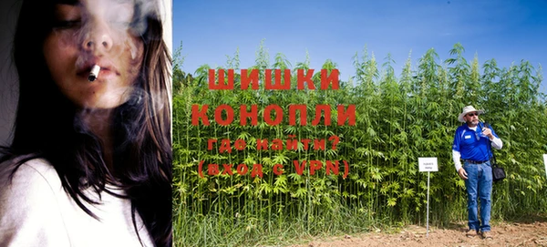 индика Алексин