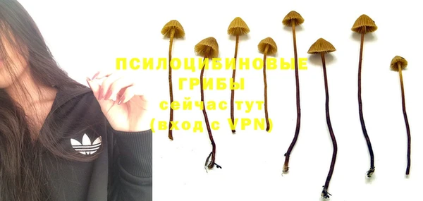 спиды Снежногорск