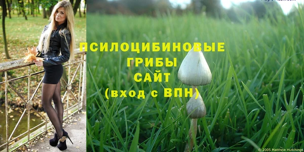 спиды Снежногорск